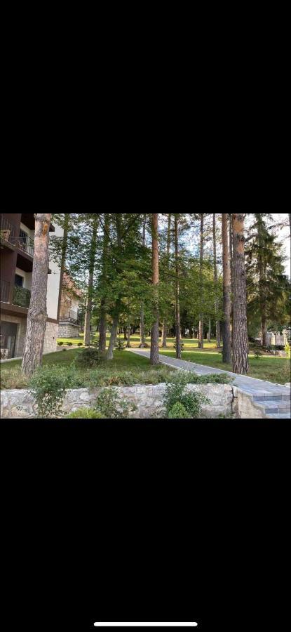 Titova Vila Zlatibor Mountain View Apartment Екстер'єр фото